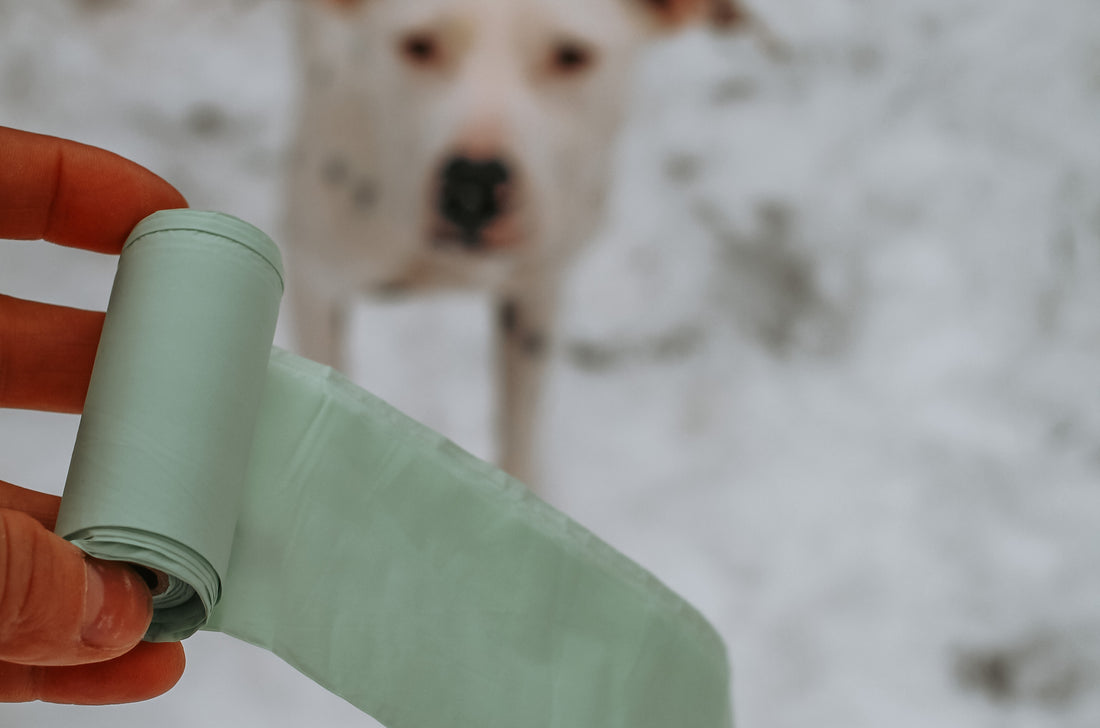 Compostable dog poop bag roll with white rescue dog in background