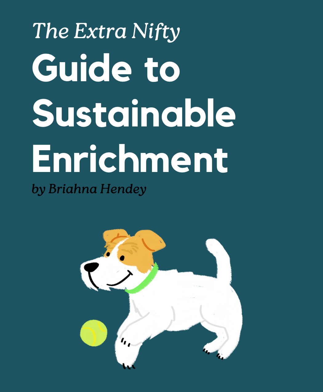 Guide to Sustainable Enrichment for Dogs by Briahna Hendey