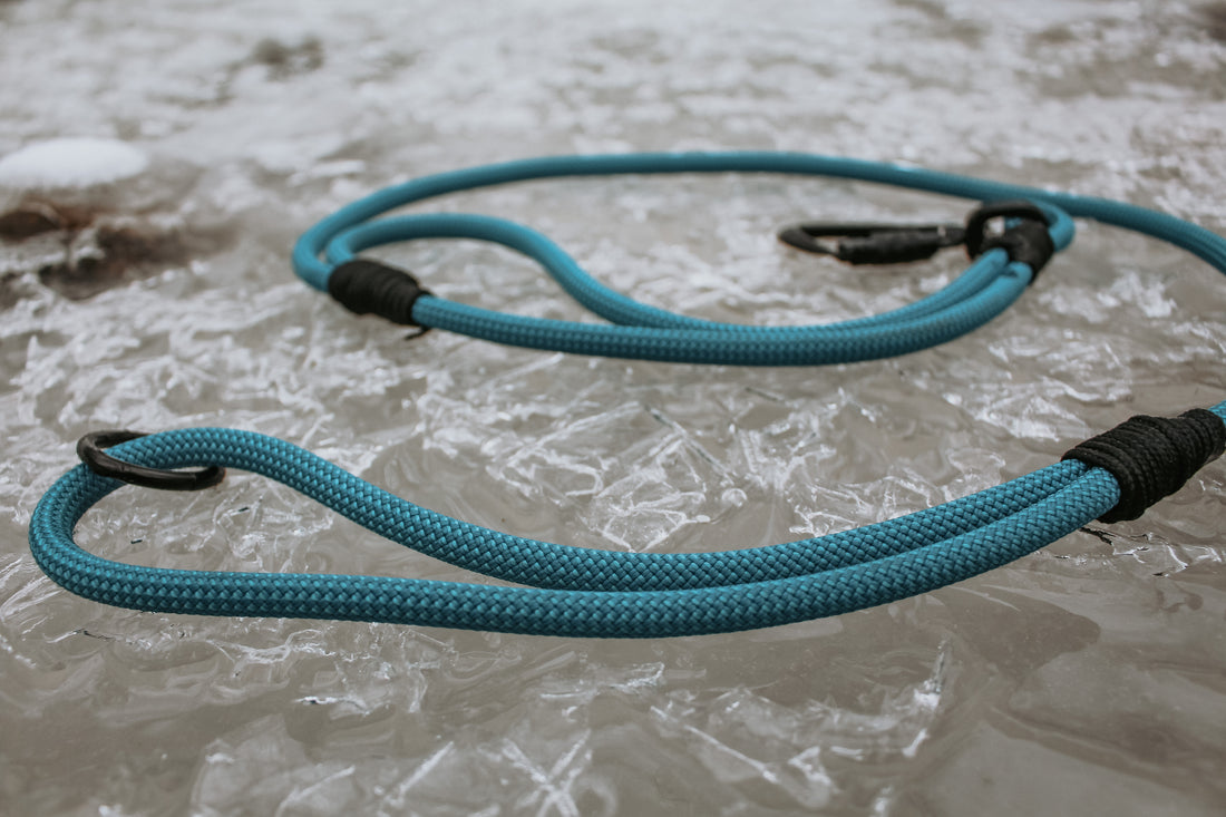 Blue climbing rope dog leash on ice