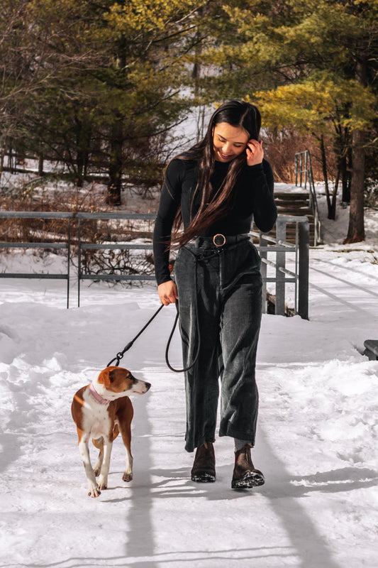 The Gouda Convertible Leash