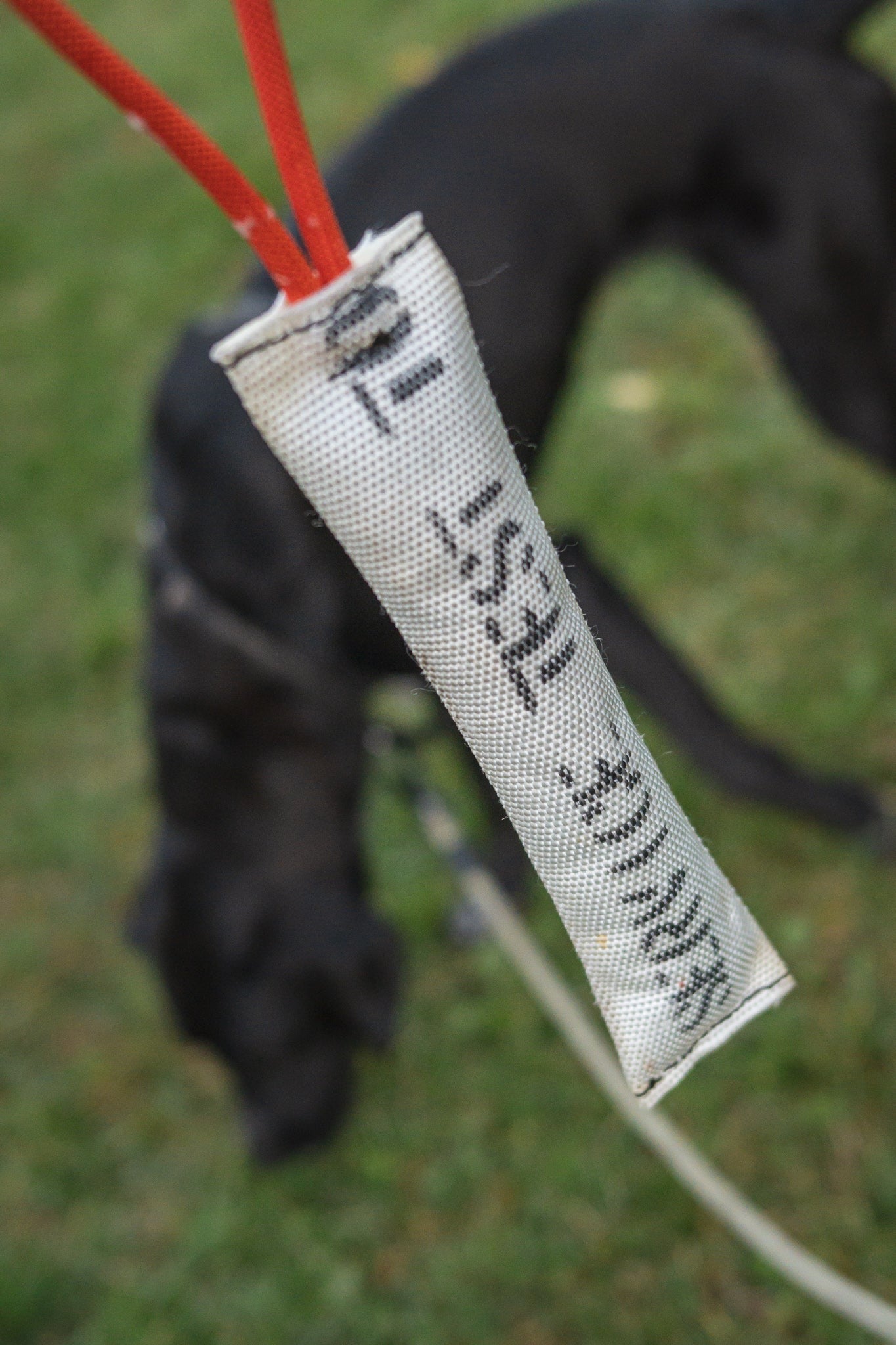 Recycled fire store hose dog toys