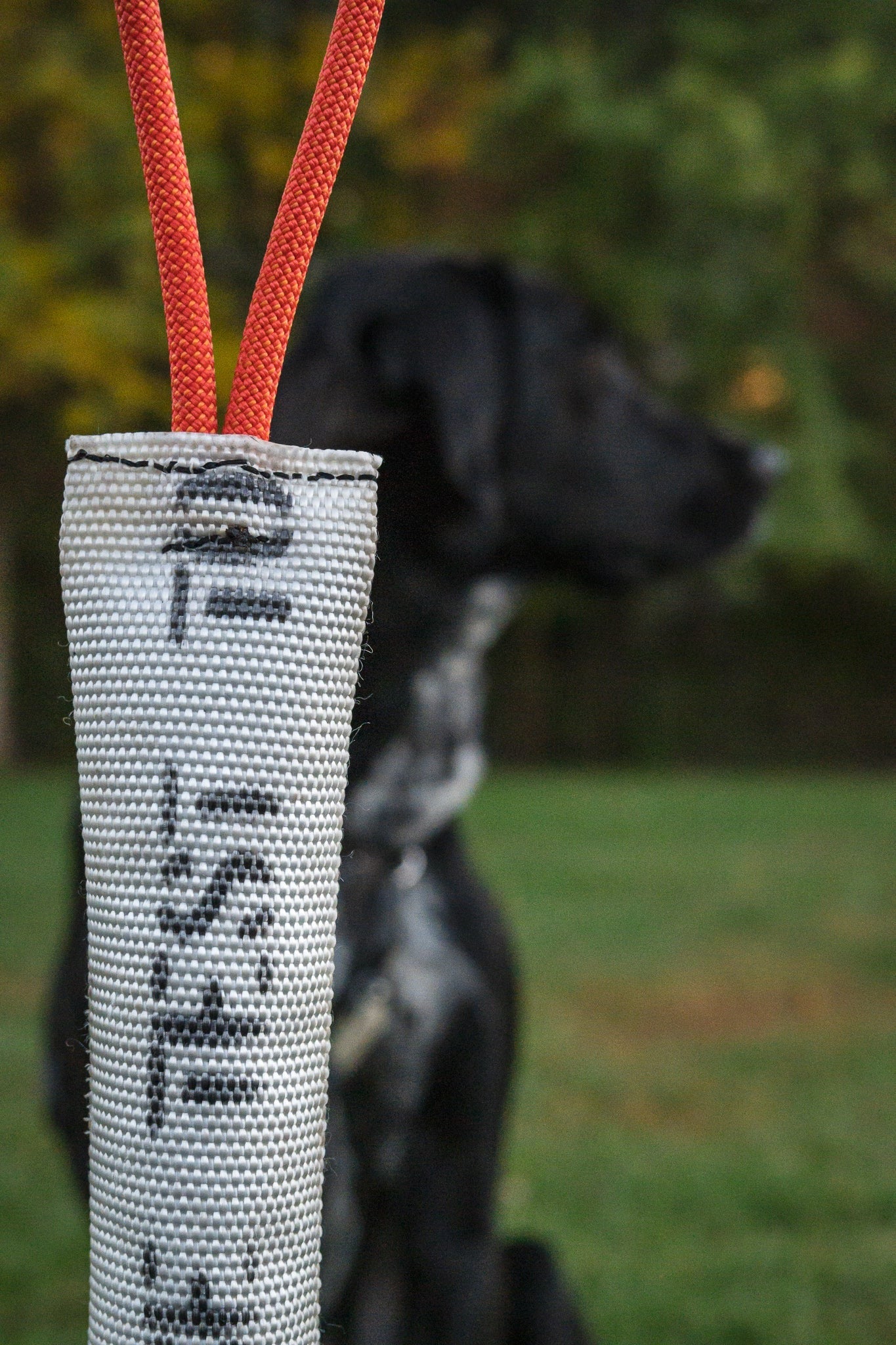 Recycled Fire Hose Tug Toy