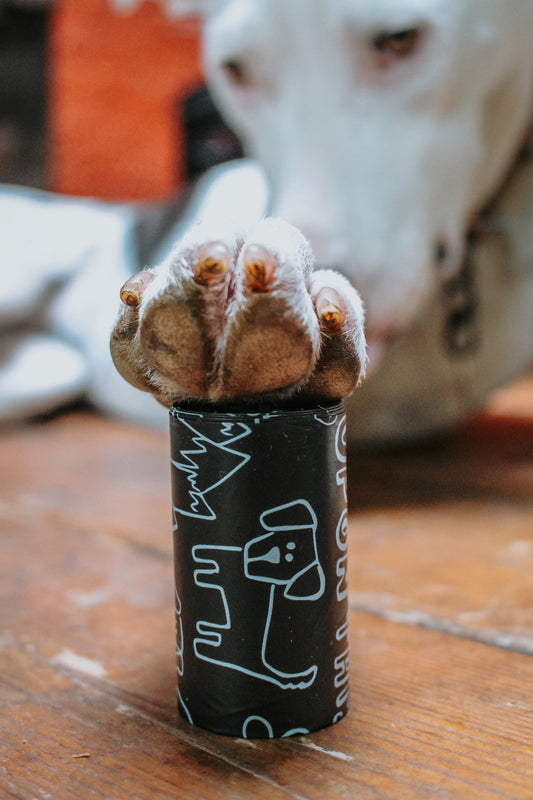 Compostable Poop Bags - 40 Rolls (600 Bags)