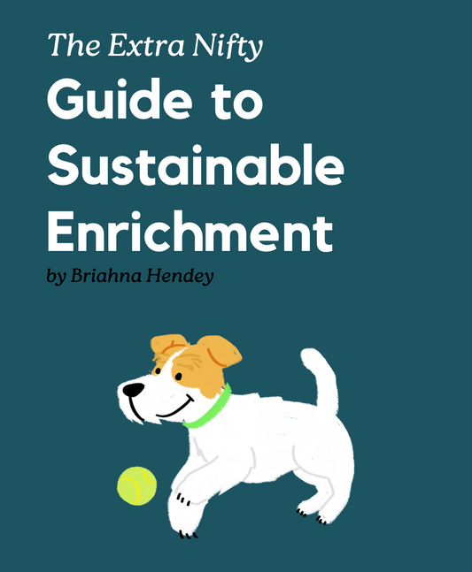 Guide to Sustainable Enrichment for Dogs by Briahna Hendey
