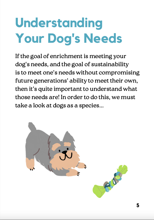 Guide to Sustainable Enrichment for Dogs by Briahna Hendey