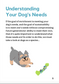 Guide to Sustainable Enrichment for Dogs by Briahna Hendey