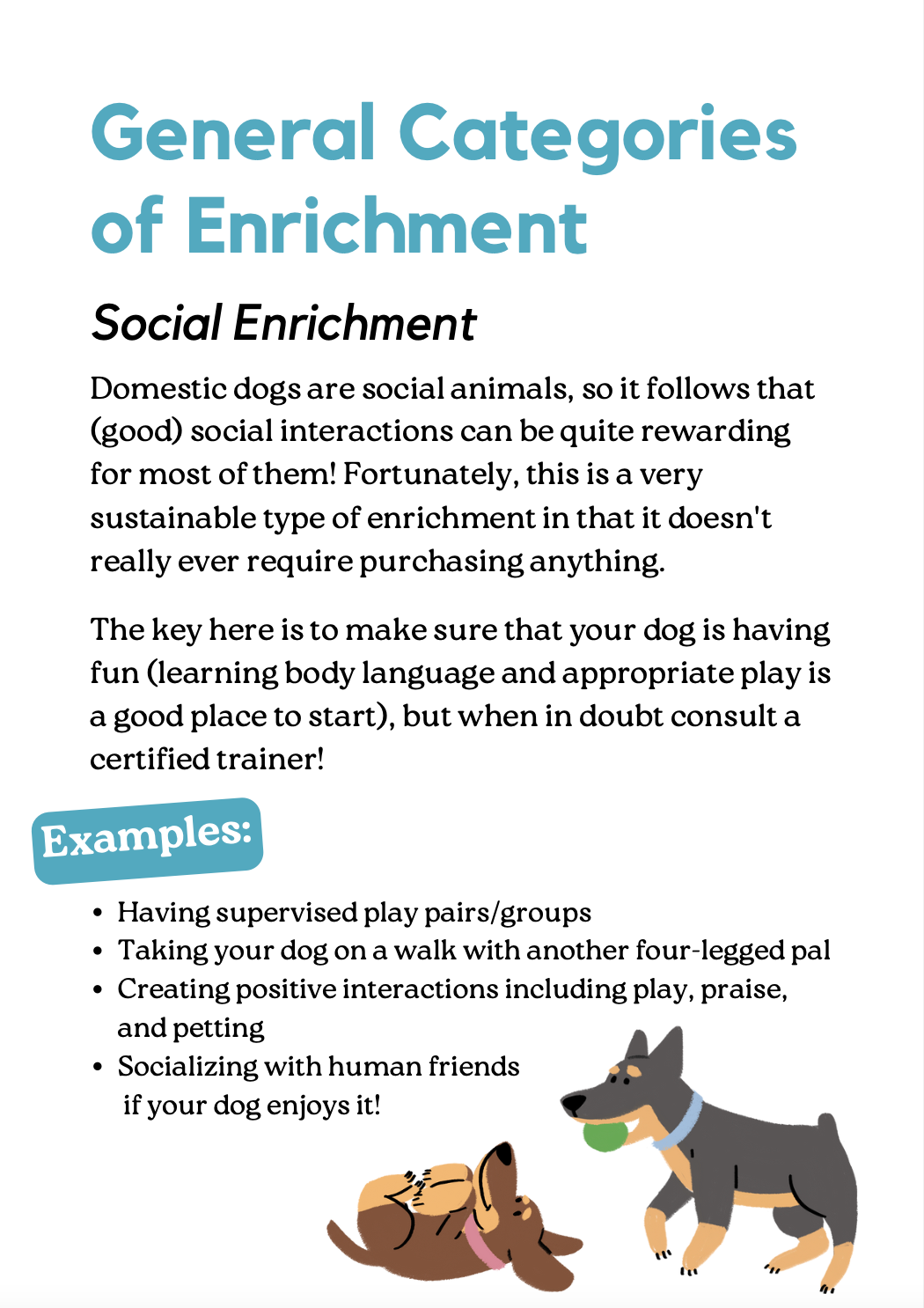 Guide to Sustainable Enrichment for Dogs by Briahna Hendey