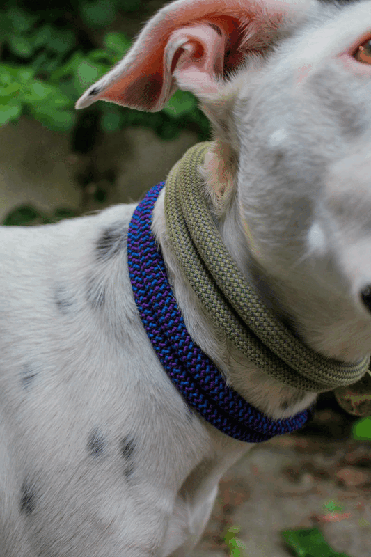 Upcycled Climbing Rope Collar